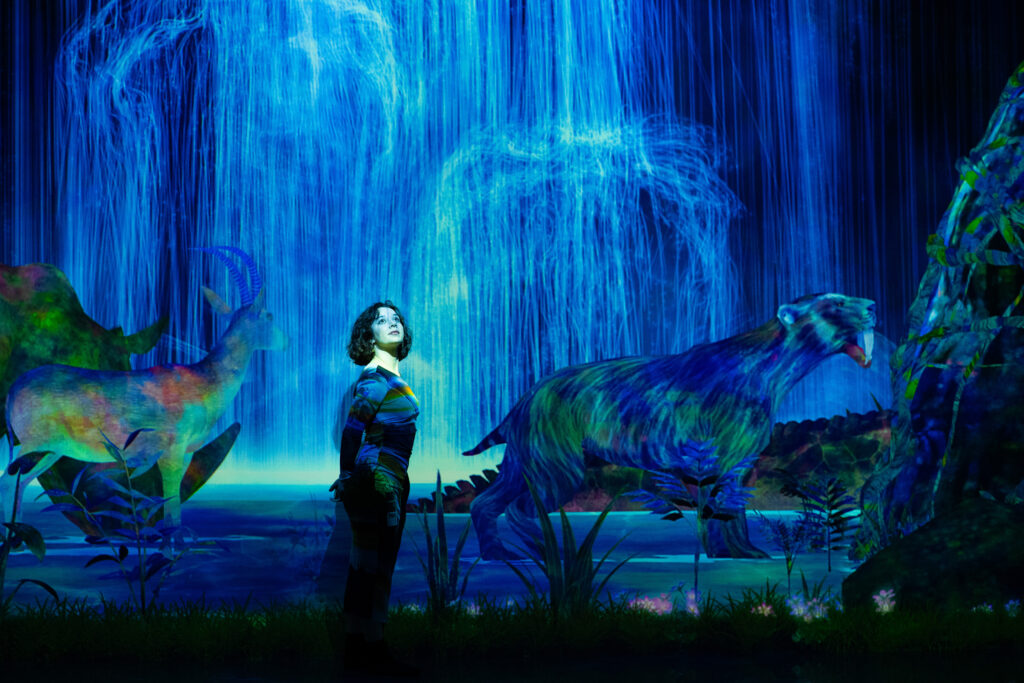 teamLab Planets immersive digital art